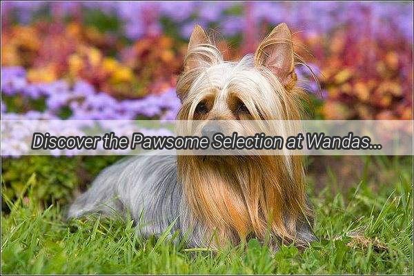 Discover the Pawsome Selection at Wandas Pet Emporium Are Dogs for Sale Here